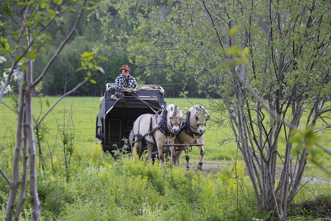 Sleigh Ride w/ snacks - Experience Arctic Farm Life - Who this is perfect for (and who should plan differently)