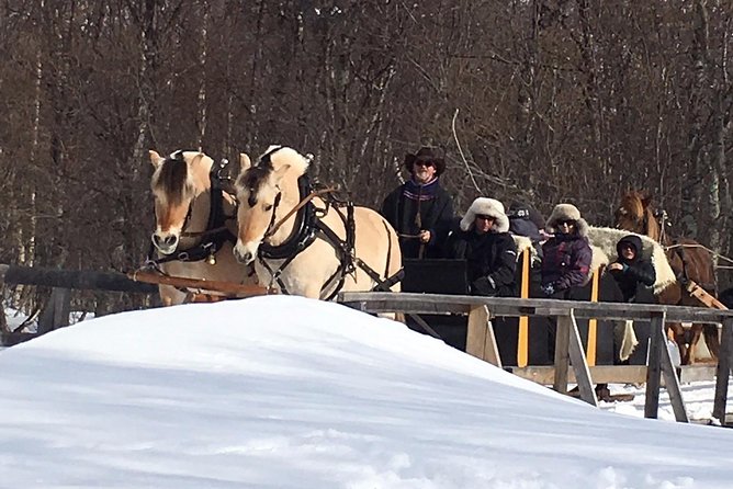 Sleigh Ride w/ snacks - Experience Arctic Farm Life - Getting to Omdal Gard: pickup from Alta and the drive you’ll actually enjoy
