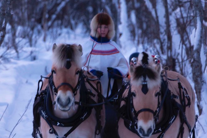 Sleigh Ride w/ Tapas Meal - Experience Arctic Farm Life - The Sami lavvo tapas meal: cold Arctic plates with firelight