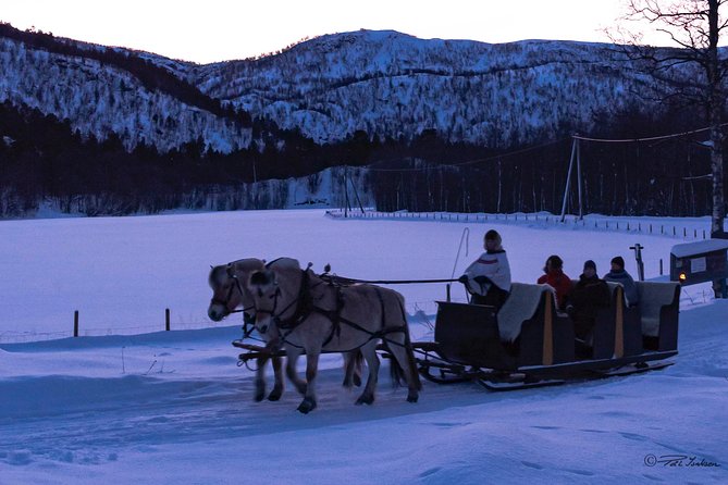 Sleigh Ride w/ Tapas Meal - Experience Arctic Farm Life - Price and value: what’s included in $236.79