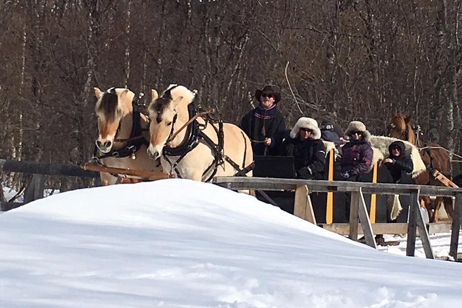 Sleigh Ride w/ Tapas Meal - Experience Arctic Farm Life - Booking tips that make the day better