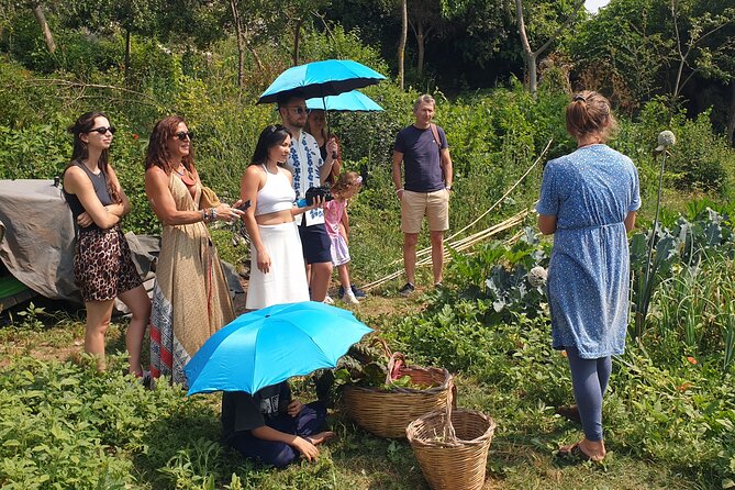 Slowlife Family Farm- Cook with us From Garden to Table Syracuse - Who this Sicily experience fits best
