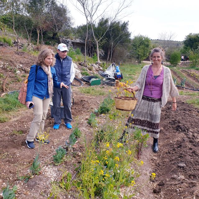 Slowlife Family Farm: From Garden to Table - Ancient farm grounds: Greeks, Romans, and the water mill under restoration