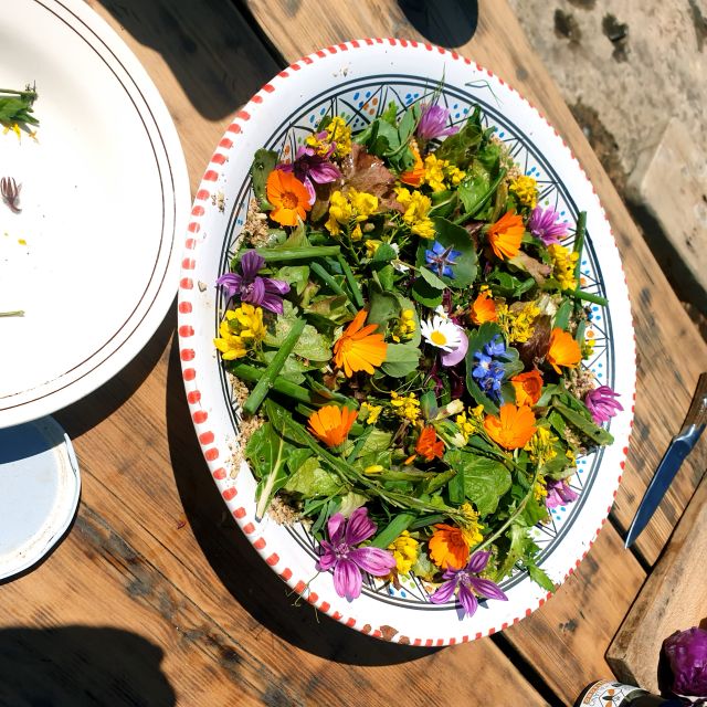 Slowlife Family Farm: From Garden to Table - Olive oil and wine tasting: how to look for quality without getting fancy