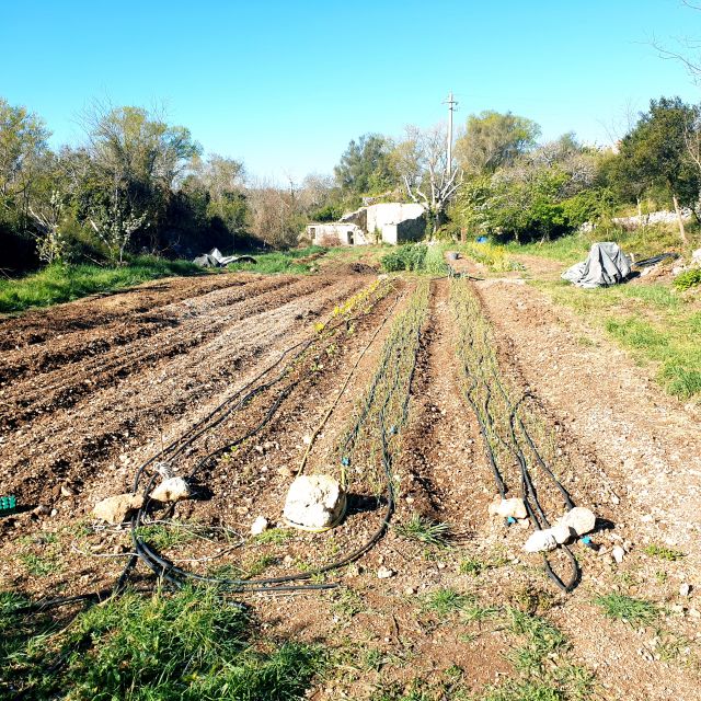Slowlife Family Farm: From Garden to Table - The river-side setting: swimming, shade, and a break from normal tour timing