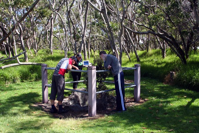 Small-Group Big Island Tour: Hawaii Volcanoes National Park and Kona Coffee Farm - Punalu‘u black sand beach: turtles, photos, and smart expectations