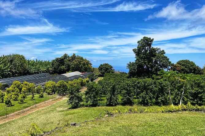 Small-Group Big Island Tour: Hawaii Volcanoes National Park and Kona Coffee Farm - Food and timing: why the included meals make this day work