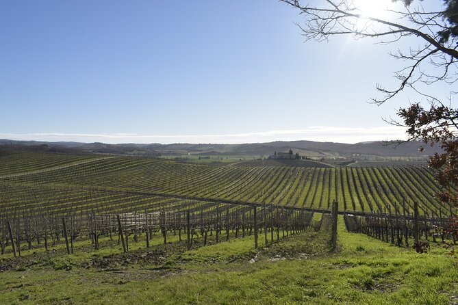 Small Group E-Bike Chianti Tour with farm lunch from Siena - Key things to know before you go
