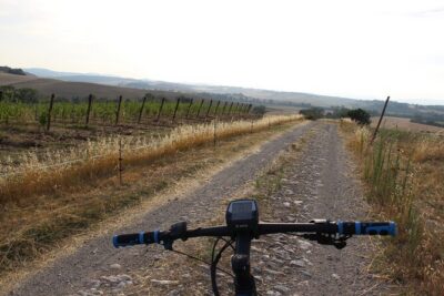 Small Group E-Bike Chianti Tour with farm lunch from Siena - Strada Statale 222 Chiantigiana: the 20km Chianti ride that feels made for e-bikes