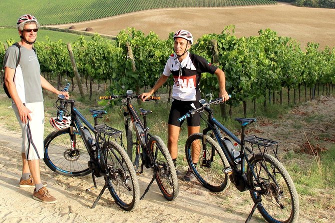 Small Group E-Bike Chianti Tour with farm lunch from Siena - Farm lunch in the Chianti countryside: olive oil, wine, and the story behind it