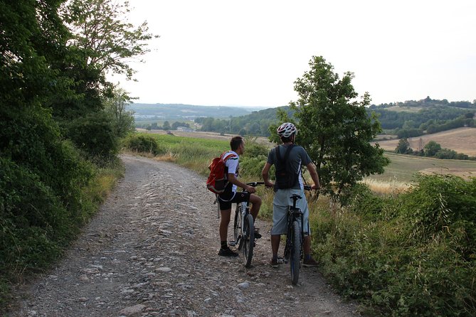 Small Group E-Bike Chianti Tour with farm lunch from Siena - Practical tips to get the most out of your day