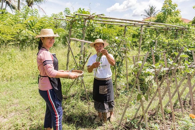 Small-Group Farm Tour & Balinese Cooking Class in Ubud with Kadek - A Farm Walk That Actually Feeds Your Cooking