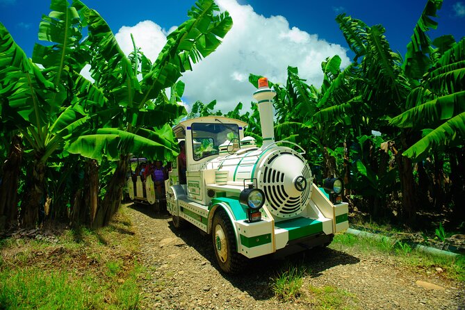 Small train tour of a banana farm in Martinique - Key highlights at a glance
