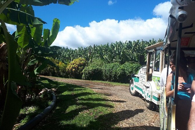 Small train tour of a banana farm in Martinique - A Banana Farm Ride from Le Lamentin