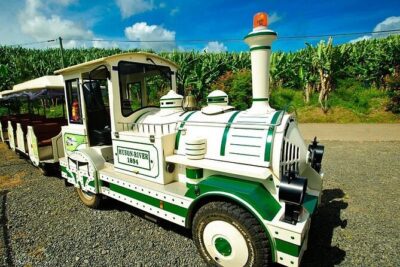 Small train tour of a banana farm in Martinique - The Guide Experience: Bruno, Ongoing Commentary, and Language Reality