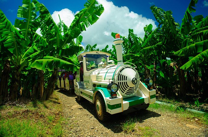 Small train tour of a banana farm in Martinique - Price and Value: Why $23.88 Can Work Well