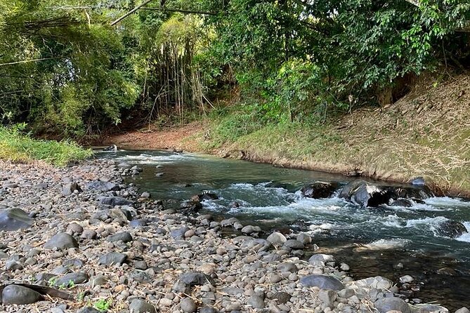 Small train tour of a banana farm in Martinique - Should You Book This Banana Farm Little Train Tour?