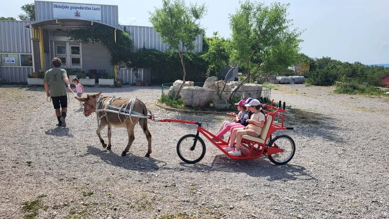 Šmrika (near Rijeka/Krk/Crikvenica) Donkey Farm Family Fun - Key reasons this donkey farm is worth your time
