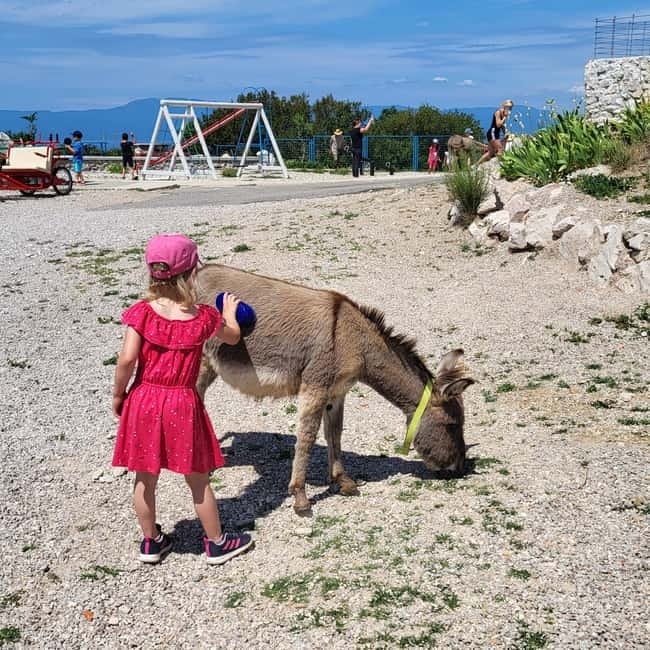 Šmrika (near Rijeka/Krk/Crikvenica) Donkey Farm Family Fun - Why a donkey farm near Rijeka feels like the right family stop