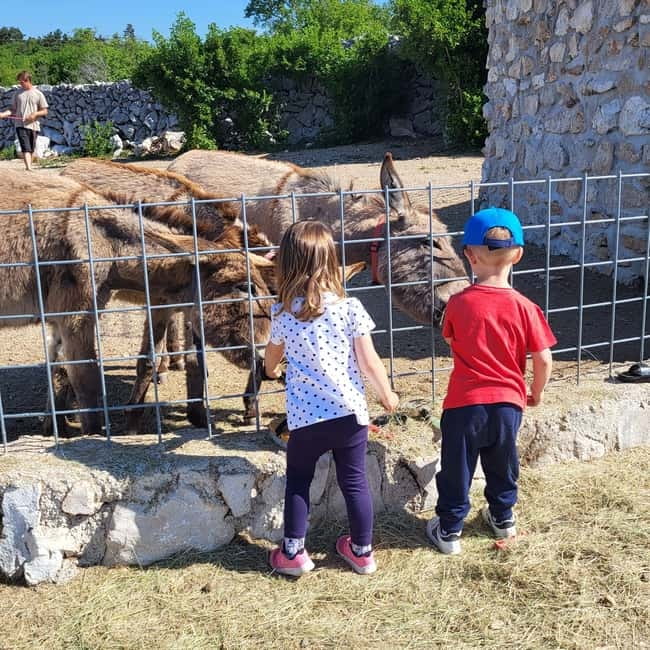 Šmrika (near Rijeka/Krk/Crikvenica) Donkey Farm Family Fun - The guided walk: pastures, ancient water reservoirs, and a garden break