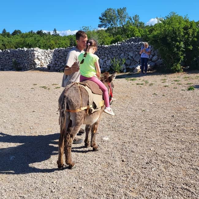 Šmrika (near Rijeka/Krk/Crikvenica) Donkey Farm Family Fun - Price and value: what $9 covers (and what it doesn’t)