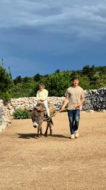 Šmrika (near Rijeka/Krk/Crikvenica) Donkey Farm Family Fun - Getting there from Rijeka, Krk, or Crikvenica: follow the turns