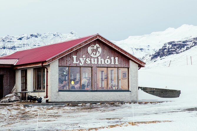 Snæfellsnes in Spanish with lunch on a farm Minibus - From Reykjavík to Snæfellsjökull: Jules Verne and a “center of the earth” vibe