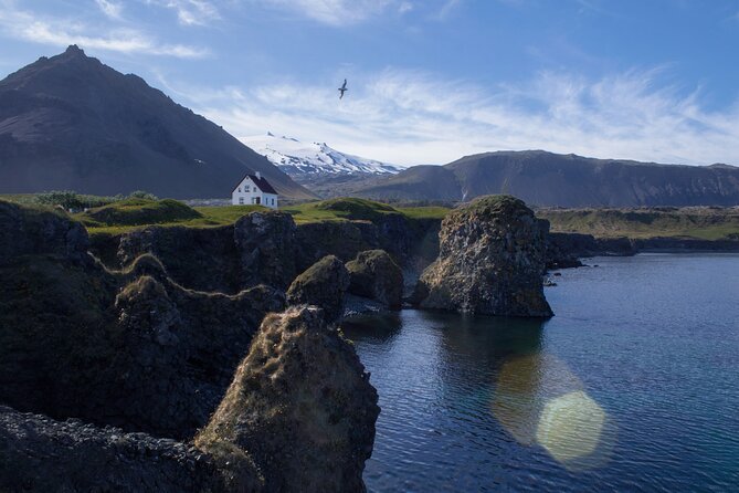 Snæfellsnes in Spanish with lunch on a farm Minibus - Ytri Tunga seal beach: a short stop with big payoff