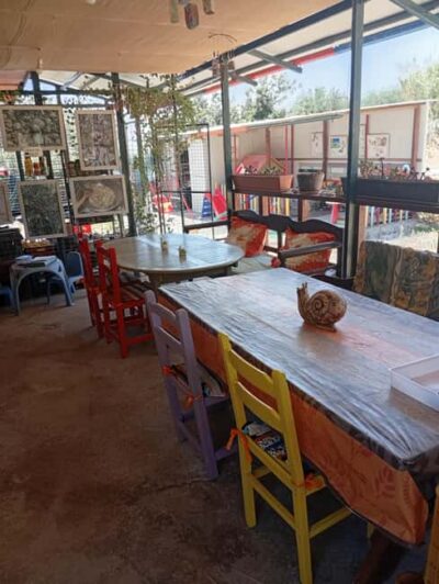 Snail and olive farm tour with table olives & homemade sweet - Meet Stavros and Vaso, the Family Running the Show
