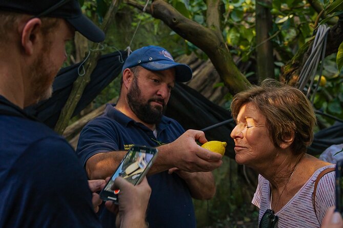 Sorrento Ape Tour, Lemon Garden, Mozzarella Show & Pizza Class - Key highlights to know before you go