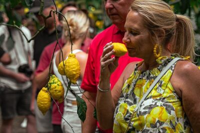 Sorrento Ape Tour, Lemon Garden, Mozzarella Show & Pizza Class - The ride to Il Turuziello on an Ape Calessino