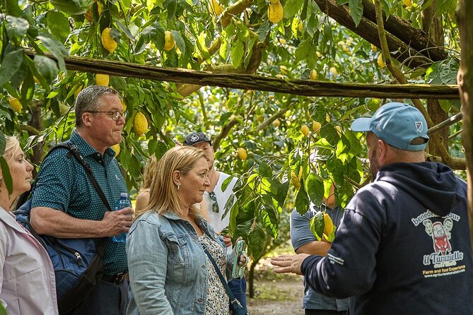 Sorrento Ape Tour, Lemon Garden, Mozzarella Show & Pizza Class - Meeting at Piazza Antiche Mura and planning your timing