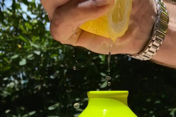 Sorrento: Authentic Lemon Experience at a Farm with Tastings - Why the working-farm context adds more than “local flavor”