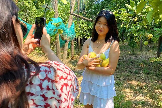 Sorrento: Authentic Lemon Experience at a Farm with Tastings - Small group format: the difference between 10 people and a crowd