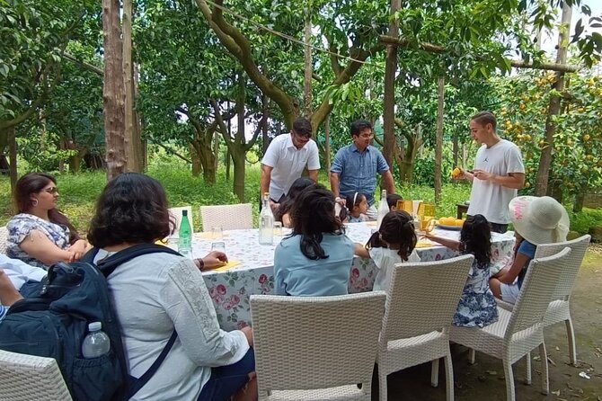 Sorrento: Authentic Lemon Experience at a Farm with Tastings - Price and value: what $77.44 buys you here