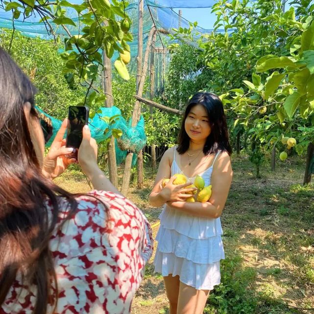 Sorrento: Authentic Lemon Experience in a Farm with Tastings - Lemon Farm Meets Tasting: What Makes This Sorrento Experience Worth 1.5 Hours