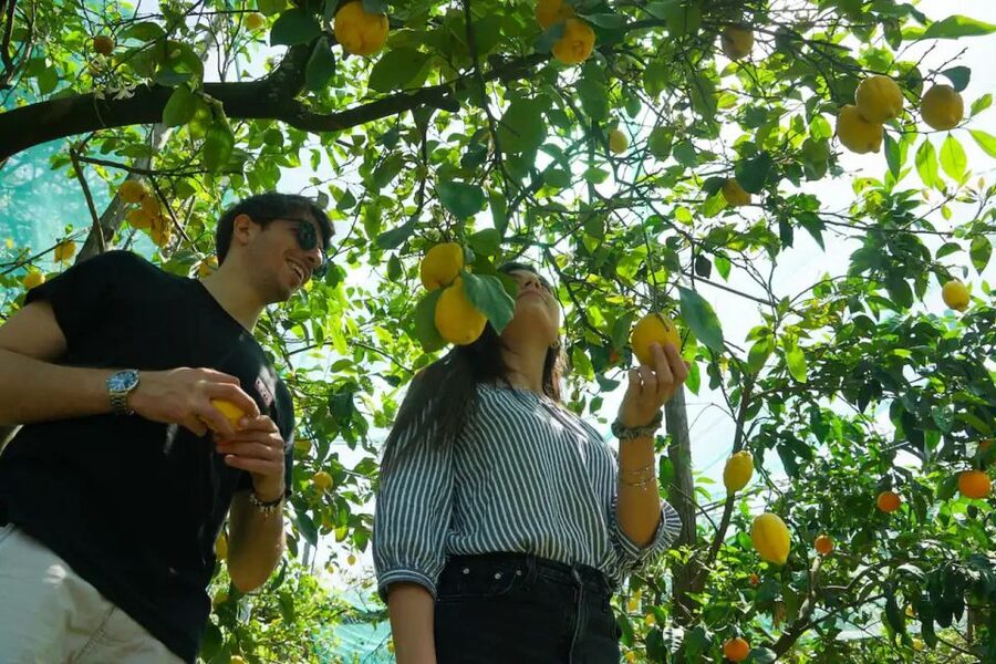 Sorrento: Authentic Lemon Experience in a Farm with Tastings - Meet the People: Small Group Pace and Guides Like Francesca and Sophia
