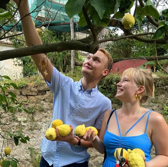 Sorrento: Authentic Lemon Experience in a Farm with Tastings - Taking Lemons Home: A Souvenir That Actually Works