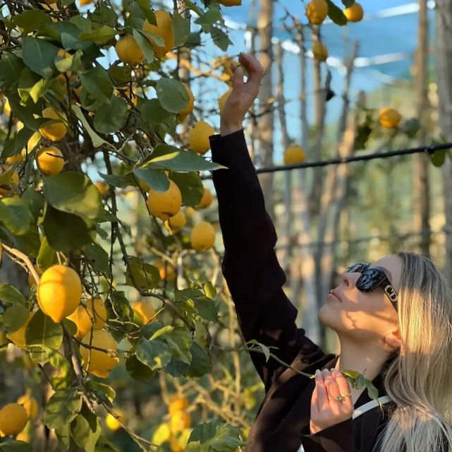 Sorrento: Authentic Lemon Experience in a Farm with Tastings - Should You Book Sorrento’s Authentic Lemon Farm Tastings?