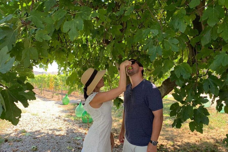 Sorrento: Family Farm Experience with Lunch - From Sorrento meeting point to countryside drive