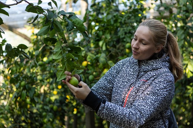 Sorrento Farm by Tuk Tuk: Cheese, Limoncello & Hands-On Pizza - Why this half-day Sorrento food tour fits your schedule so well