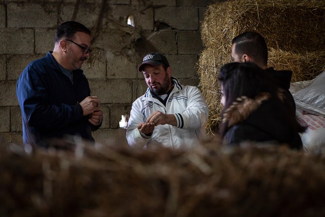 Sorrento Farm by Tuk Tuk: Cheese, Limoncello & Hands-On Pizza - Limoncello and coffee finish: the family recipe moment