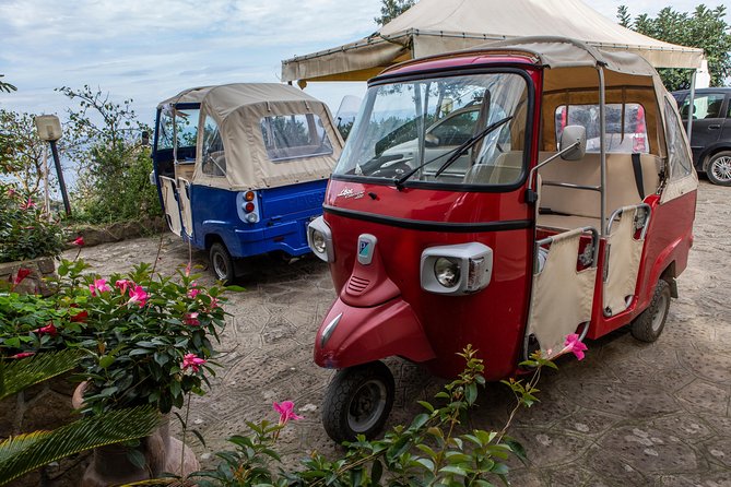 Sorrento Farm by Tuk Tuk: Cheese, Limoncello & Hands-On Pizza - Who should book this Sorrento Farm by Tuk Tuk tour
