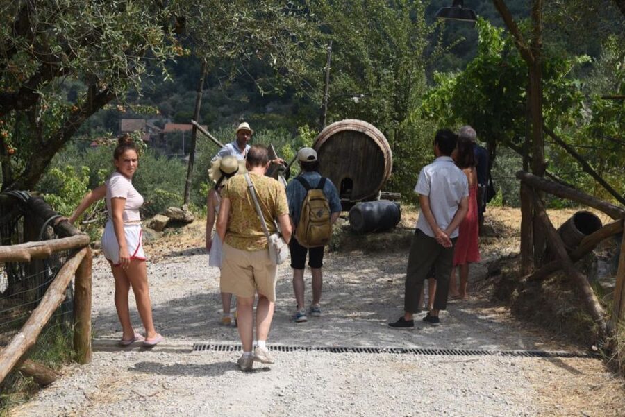 Sorrento Farm Experience: Pizza, Cheese, Wine & More - Getting There: Pick-Up, the Meeting Point, and Start Time Reality