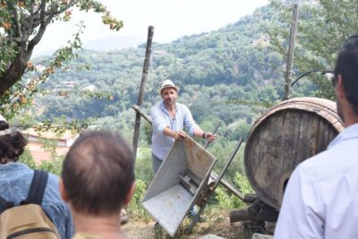 Sorrento: Farm Tour with Cheese Tasting & Pizza Making Class - How the 4-hour flow stays fun (not rushed)