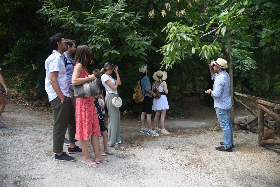Sorrento: Farm Tour with Cheese Tasting & Pizza Making Class - Pizza making class: knead, shape, bake, then eat what you made