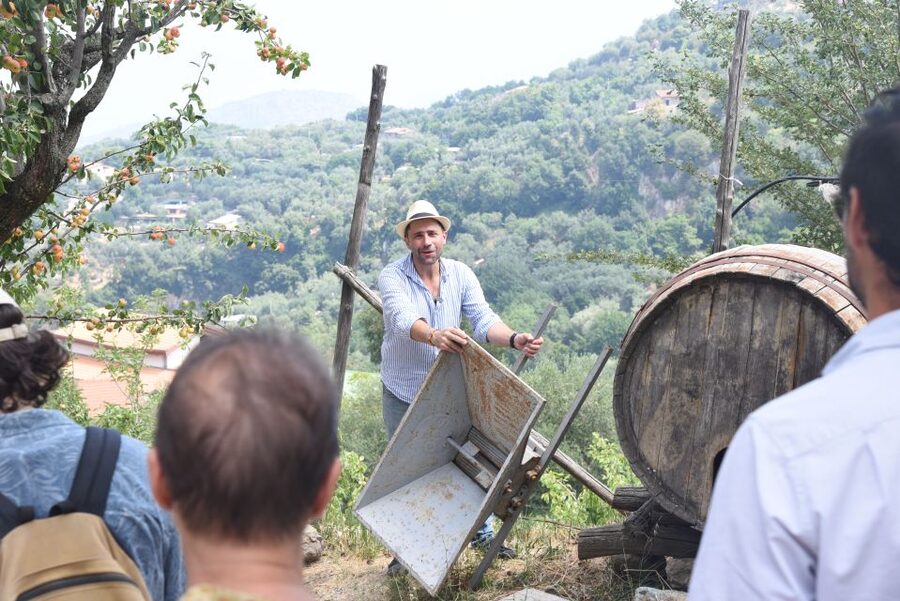 Sorrento: Farm Tour with Cheese Tasting & Pizza Making Class - How the 4-hour flow stays fun (not rushed)