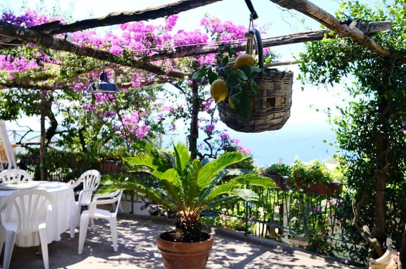 Sorrento: Marì Cooking Class in a Family Farm w/ Coast View - Maria’s family farm welcome: where the day feels personal