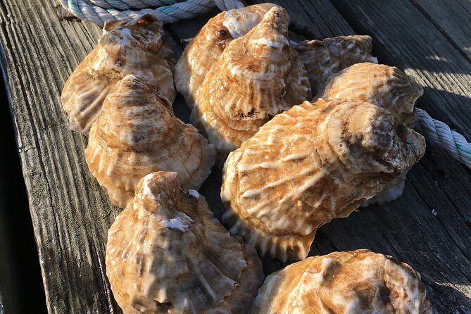 Southold Bay Oyster Farm Tour - Shellfisher Preserve: Where the Tour Starts on Southold Bay