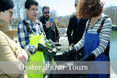 Southold Bay Oyster Farm Tour - Watching Oysters Reach Market Size on Southold Bay
